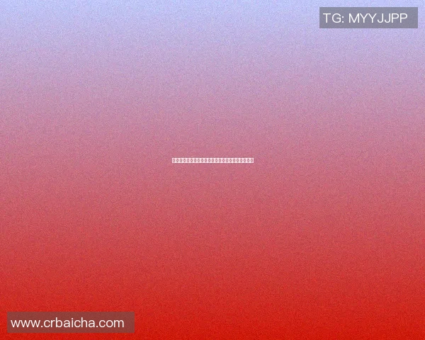 当家篮球明星的崛起之路与背后不为人知的奋斗故事